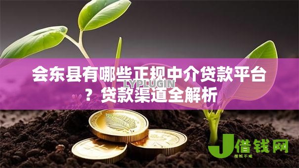 会东县有哪些正规中介贷款平台？贷款渠道全解析