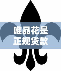 唯品花是正规贷款平台吗？全面解析其靠谱性与安全性
