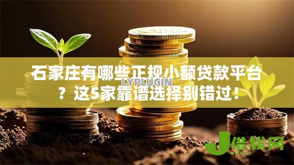 石家庄有哪些正规小额贷款平台？这5家靠谱选择别错过！