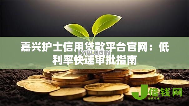 嘉兴护士信用贷款平台官网:低利率快速审批指南 嘉兴护士信用贷款平台官网:低利率快速审批指南