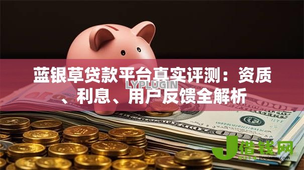 蓝银草贷款平台真实评测：资质、利息、用户反馈全解析