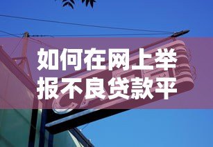 如何在网上举报不良贷款平台：详细步骤与注意事项