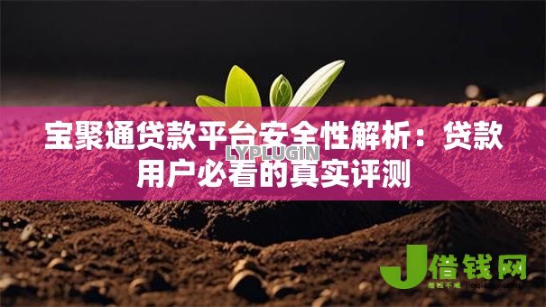 宝聚通贷款平台安全性解析：贷款用户必看的真实评测