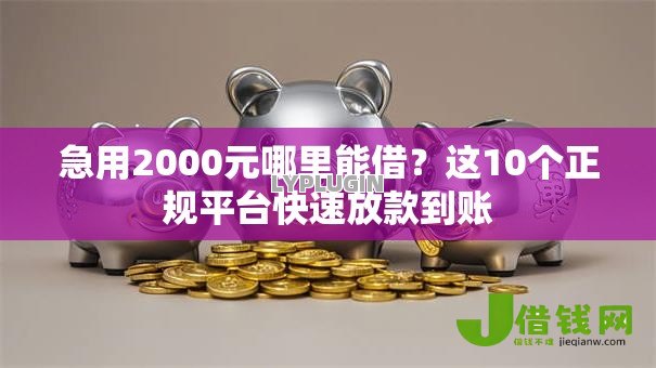 急用2000元哪里能借？这10个正规平台快速放款到账