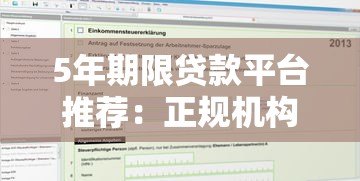 5年期限贷款平台推荐：正规机构及申请指南