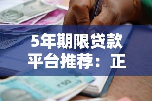 5年期限贷款平台推荐：正规机构及申请指南