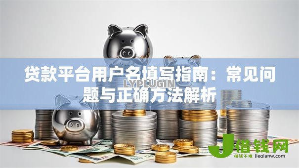贷款平台用户名填写指南:常见问题与正确方法解析 贷款平台用户名填写指南:常见问题与正确方法解析