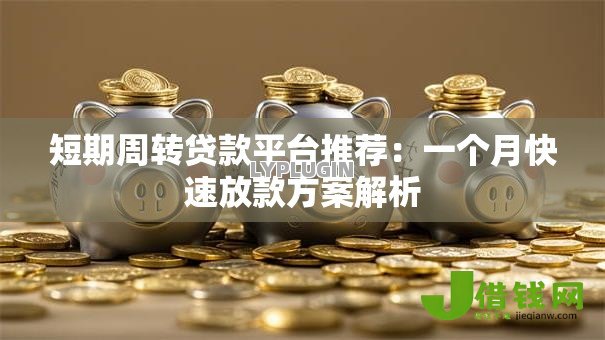短期周转贷款平台推荐:一个月快速放款方案解析 短期周转贷款平台推荐:一个月快速放款方案解析