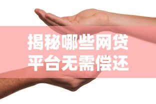 揭秘哪些网贷平台无需偿还？合法与风险需知