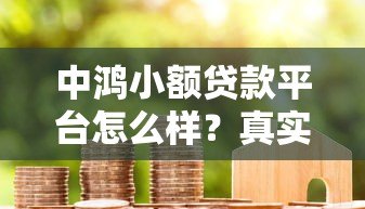 中鸿小额贷款平台怎么样？真实用户评测与申请流程解析