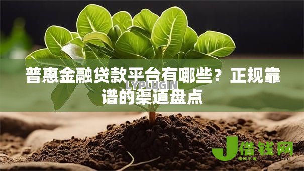 普惠金融贷款平台有哪些？正规靠谱的渠道盘点