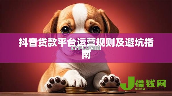 抖音贷款平台运营规则及避坑指南