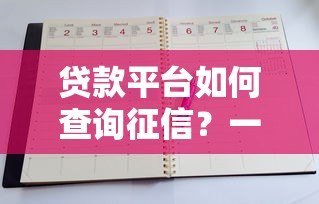 贷款平台如何查询征信?一文详解各大渠道和注意事项 贷款平台如何查询征信?一文详解各大渠道和注意事项