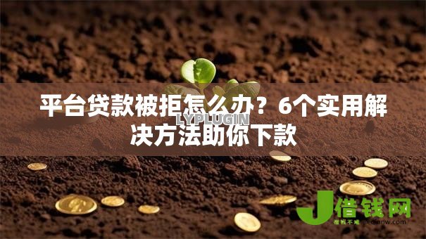 平台贷款被拒怎么办？6个实用解决方法助你下款