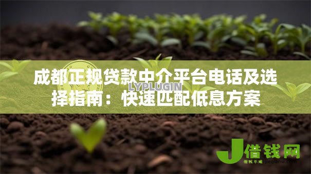 成都正规贷款中介平台电话及选择指南：快速匹配低息方案