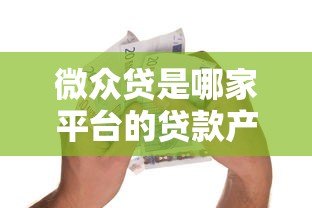 微众贷是哪家平台的贷款产品?微众银行信用贷详细解析 微众贷是哪家平台的贷款产品?微众银行信用贷详细解析