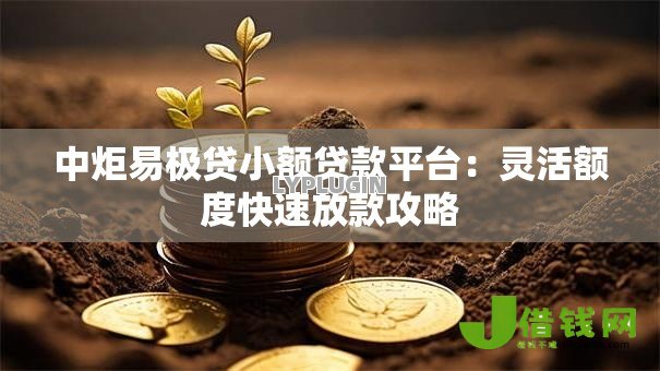 中炬易极贷小额贷款平台：灵活额度快速放款攻略