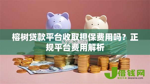 榕树贷款平台收取担保费用吗？正规平台费用解析