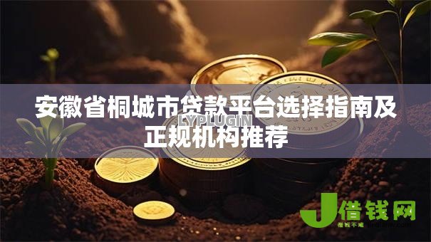 安徽省桐城市贷款平台选择指南及正规机构推荐 安徽省桐城市贷款平台选择指南及正规机构推荐