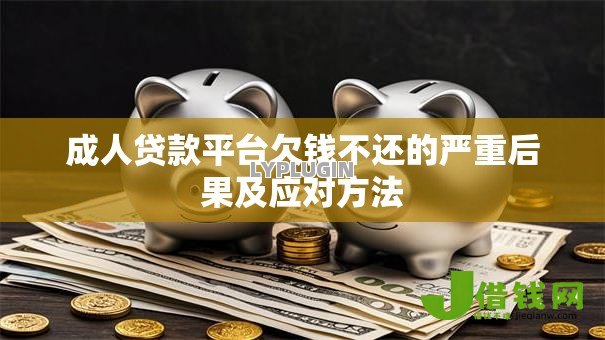 成人贷款平台欠钱不还的严重后果及应对方法