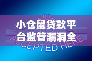 小仓鼠贷款平台监管漏洞全解析：用户权益谁来保障？