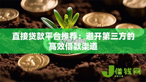 直接贷款平台推荐：避开第三方的高效借款渠道