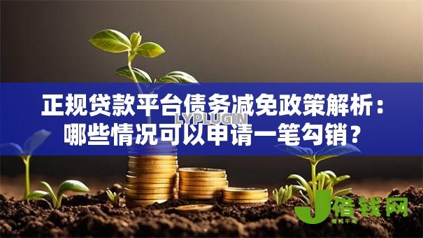 正规贷款平台债务减免政策解析：哪些情况可以申请一笔勾销？