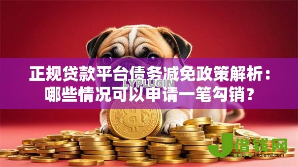 正规贷款平台债务减免政策解析：哪些情况可以申请一笔勾销？