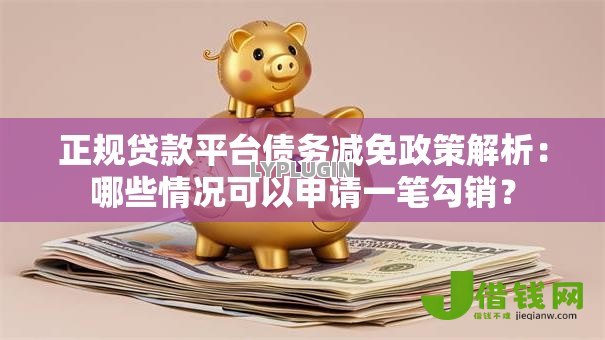 正规贷款平台债务减免政策解析：哪些情况可以申请一笔勾销？