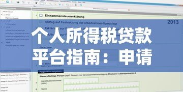 个人所得税贷款平台指南：申请流程与注意事项