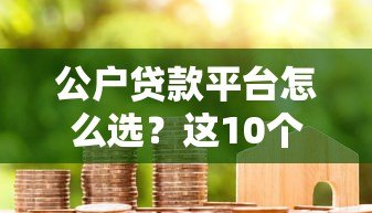 公户贷款平台怎么选？这10个要点帮你避坑