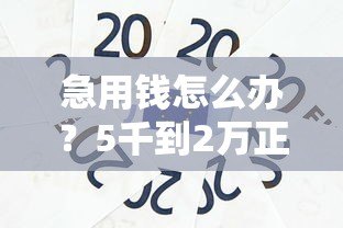 急用钱怎么办?5千到2万正规贷款平台真实测评 急用钱怎么办?5千到2万正规贷款平台真实测评
