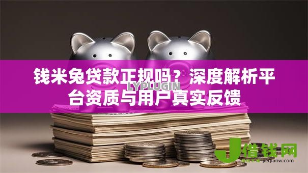 钱米兔贷款正规吗?深度解析平台资质与用户真实反馈 钱米兔贷款正规吗?深度解析平台资质与用户真实反馈