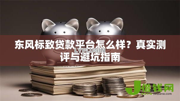 东风标致贷款平台怎么样？真实测评与避坑指南