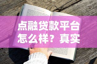 点融贷款平台怎么样?真实用户测评与申请攻略 点融贷款平台怎么样?真实用户测评与申请攻略