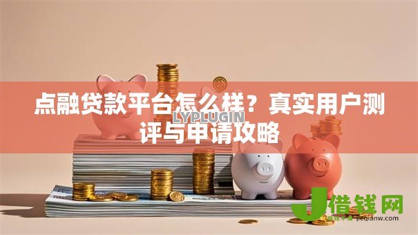 点融贷款平台怎么样?真实用户测评与申请攻略 点融贷款平台怎么样?真实用户测评与申请攻略