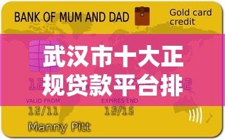 武汉市十大正规贷款平台排名及申请攻略