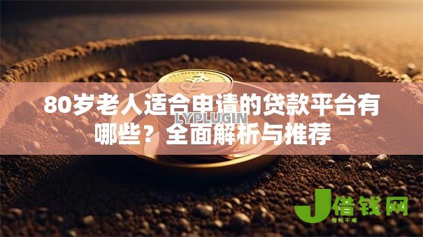 80岁老人适合申请的贷款平台有哪些？全面解析与推荐