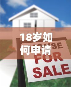 18岁如何申请一万分期贷款？正规平台推荐及注意事项解析