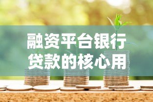 融资平台银行贷款的核心用途与申请指南