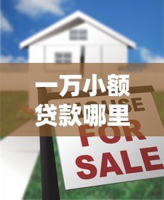 一万小额贷款哪里借?十大正规平台申请攻略 一万小额贷款哪里借?十大正规平台申请攻略