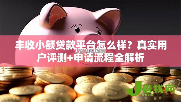 丰收小额贷款平台怎么样?真实用户评测+申请流程全解析 丰收小额贷款平台怎么样?真实用户评测+申请流程全解析
