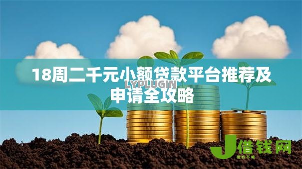 18周二千元小额贷款平台推荐及申请全攻略