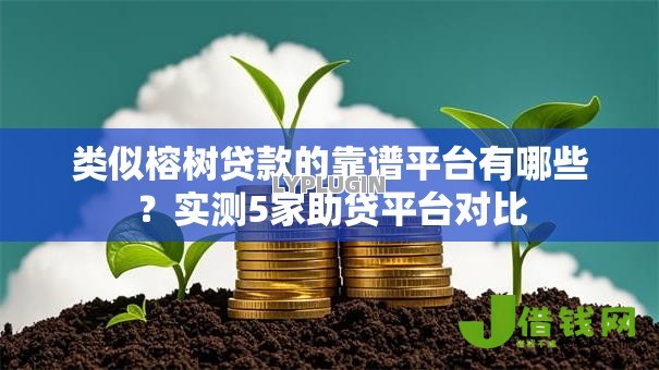 类似榕树贷款的靠谱平台有哪些？实测5家助贷平台对比