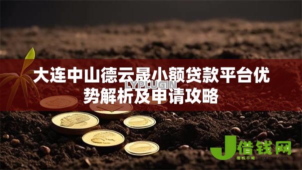 大连中山德云晟小额贷款平台优势解析及申请攻略