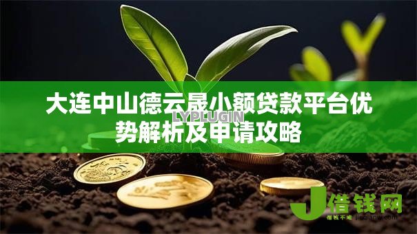 大连中山德云晟小额贷款平台优势解析及申请攻略