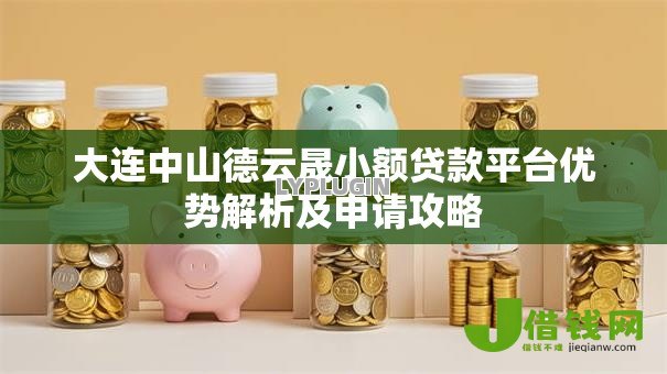 大连中山德云晟小额贷款平台优势解析及申请攻略