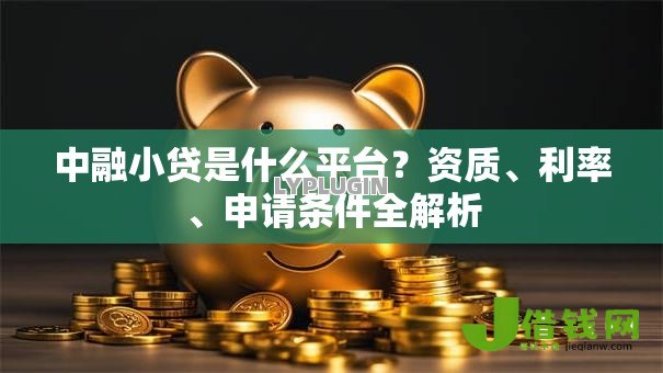 中融小贷是什么平台？资质、利率、申请条件全解析