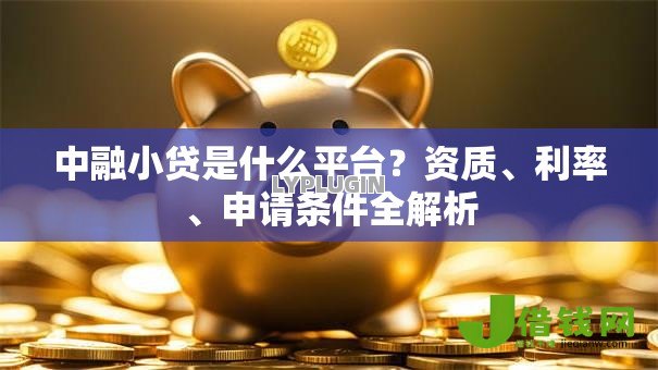 中融小贷是什么平台？资质、利率、申请条件全解析