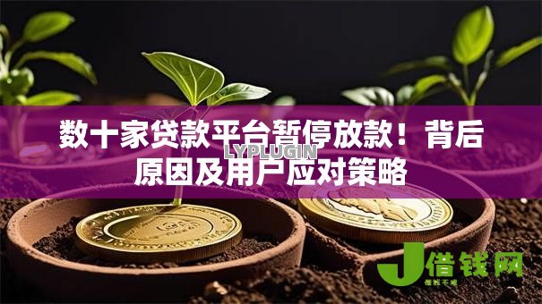 数十家贷款平台暂停放款！背后原因及用户应对策略